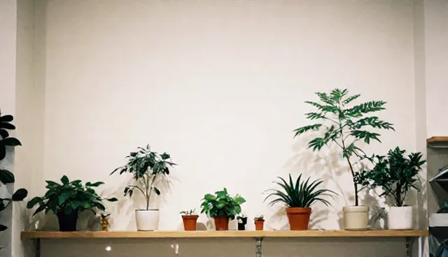 清洗救援服务性能表现提升的使用与维护建议